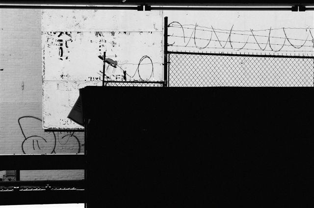 _DSC1811%20(1)