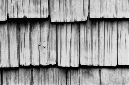 _DSC1588%20(1)