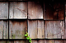 _DSC1607%20(1)