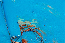 _DSC1621%20(1)