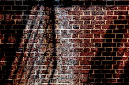 _DSC1655%20(1)
