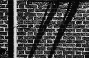 _DSC1657%20(1)
