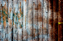 _DSC1688%20(1)