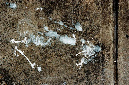_DSC1690%20(1)