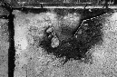 _DSC1700%20(1)