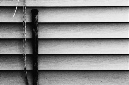 _DSC1713%20(1)