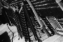 _DSC1729%20(1)