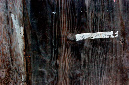 _DSC1733%20(1)