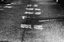 _DSC1737%20(1)