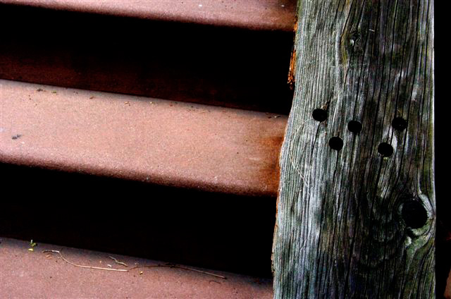 _DSC2185%20(1)