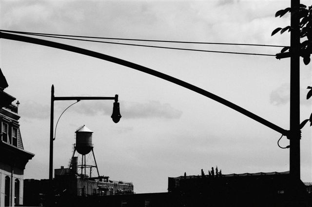 _DSC2242%20(2)