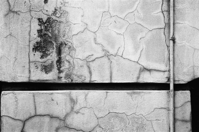 _DSC2256%20(1)