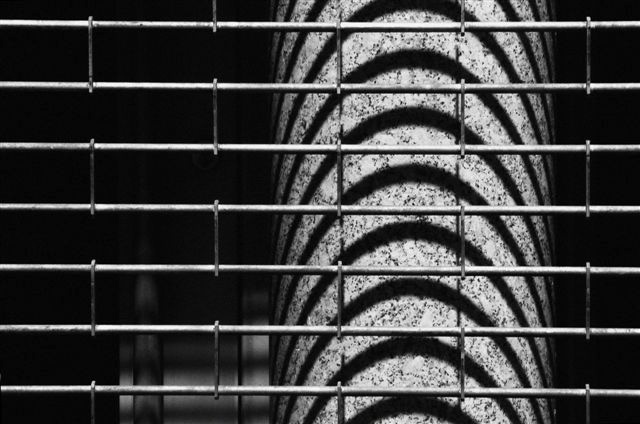 _DSC2286%20(2)