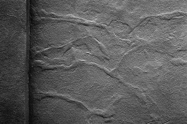 _DSC2293%20(2)