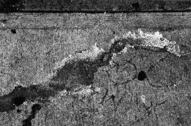 _DSC2306%20(2)