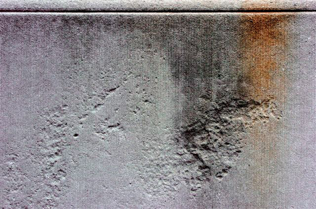 _DSC2350%20(2)