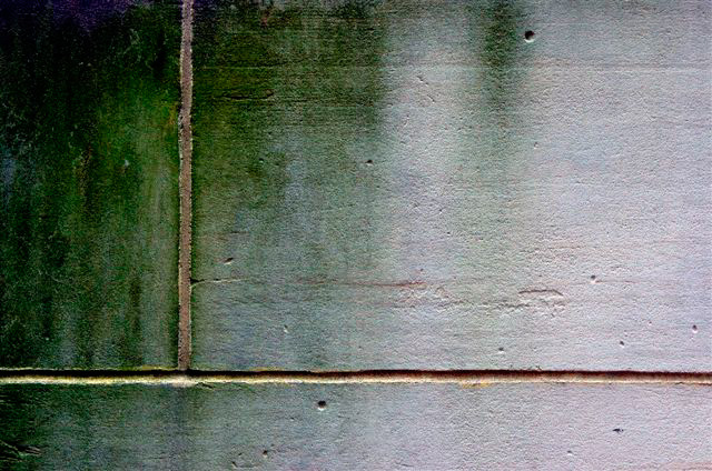 _DSC2364%20(2)