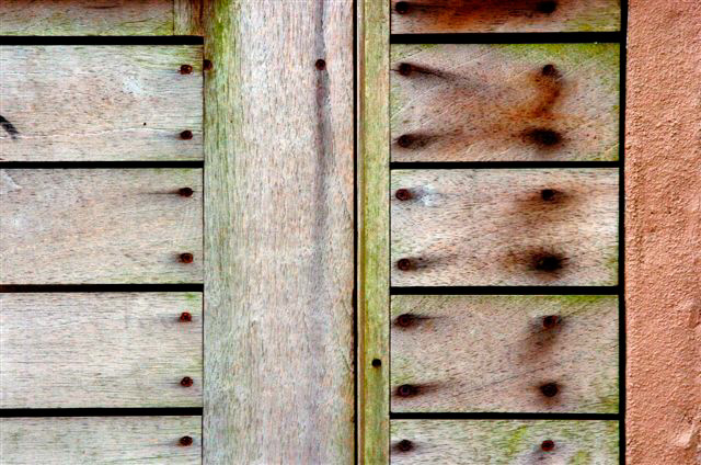 _DSC2405%20(2)