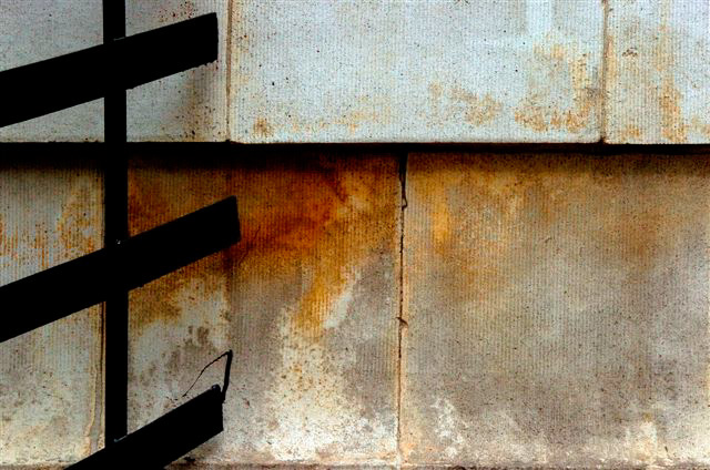 _DSC2435%20(2)