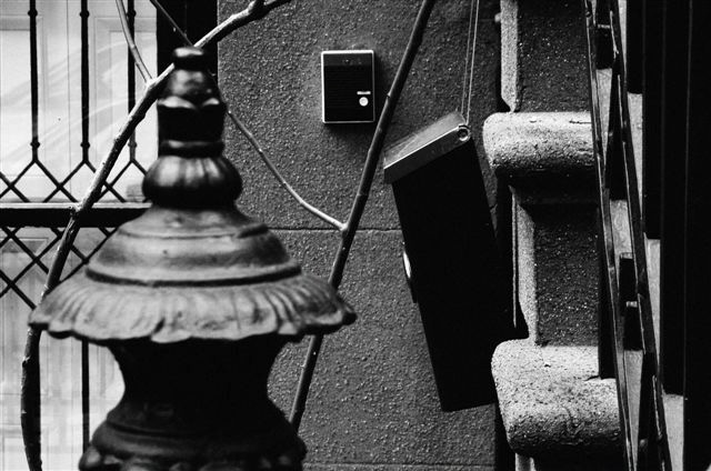 _DSC2478%20(2)