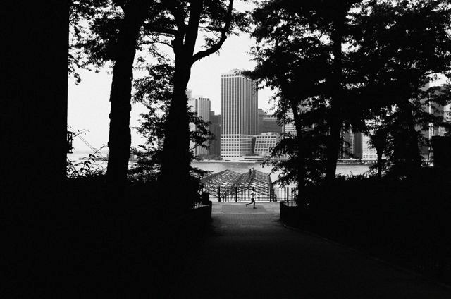 _DSC2504%20(3)
