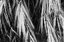 _DSC2174%20(1)