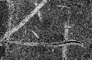_DSC2195%20(1)