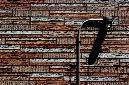 _DSC2198%20(1)