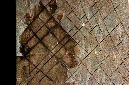 _DSC2210%20(1)