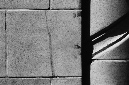 _DSC2244%20(1)