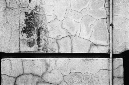 _DSC2256%20(1)