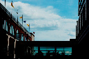 _DSC2262%20(1)