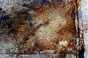 _DSC2287%20(2)