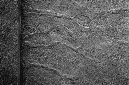 _DSC2293%20(2)