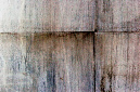 _DSC2295%20(2)