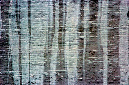 _DSC2299%20(2)