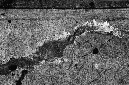 _DSC2306%20(2)