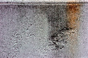 _DSC2350%20(2)