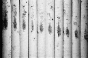 _DSC2387%20(2)
