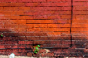 _DSC2390%20(2)