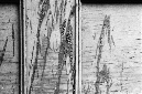 _DSC2397%20(2)