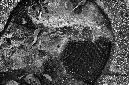 _DSC2401%20(2)
