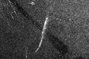 _DSC2484%20(2)