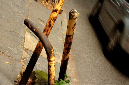 _DSC2492%20(2)