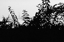 _DSC2509%20(2)
