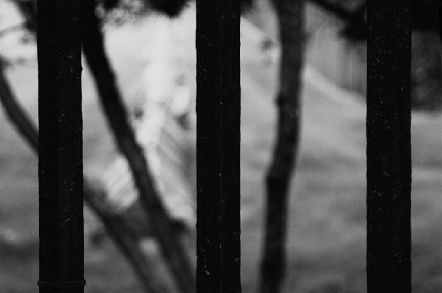 _DSC2605%20(1)