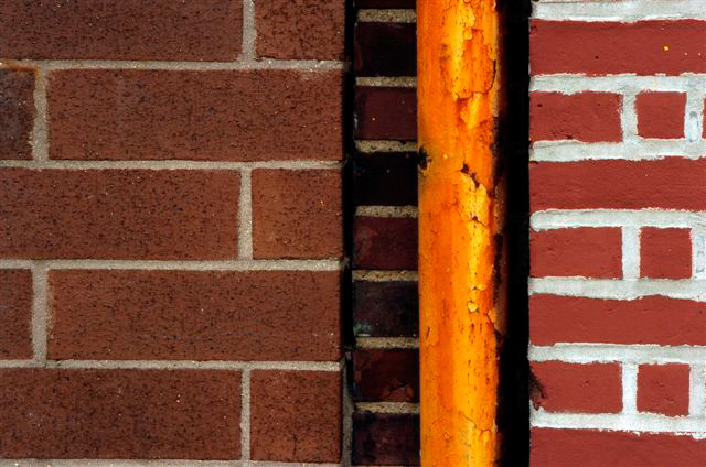 _DSC2673%20(1)