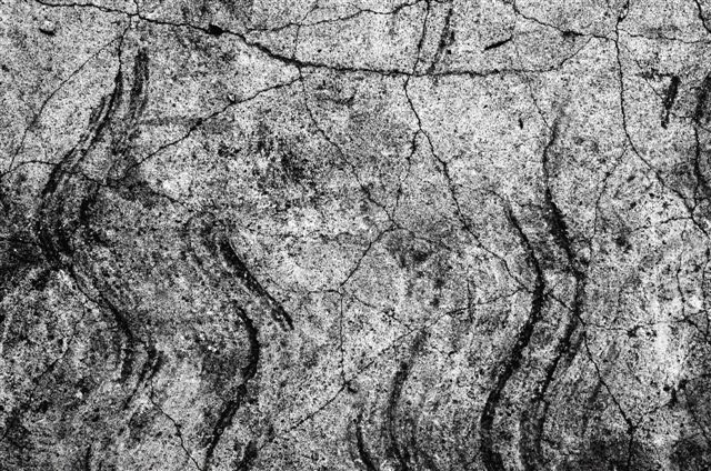 _DSC2680%20(1)