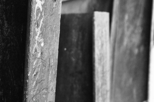 _DSC2700%20(1)