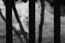 _DSC2605%20(1)